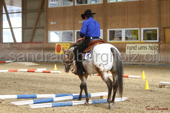 26-ApHC GT_089.jpg